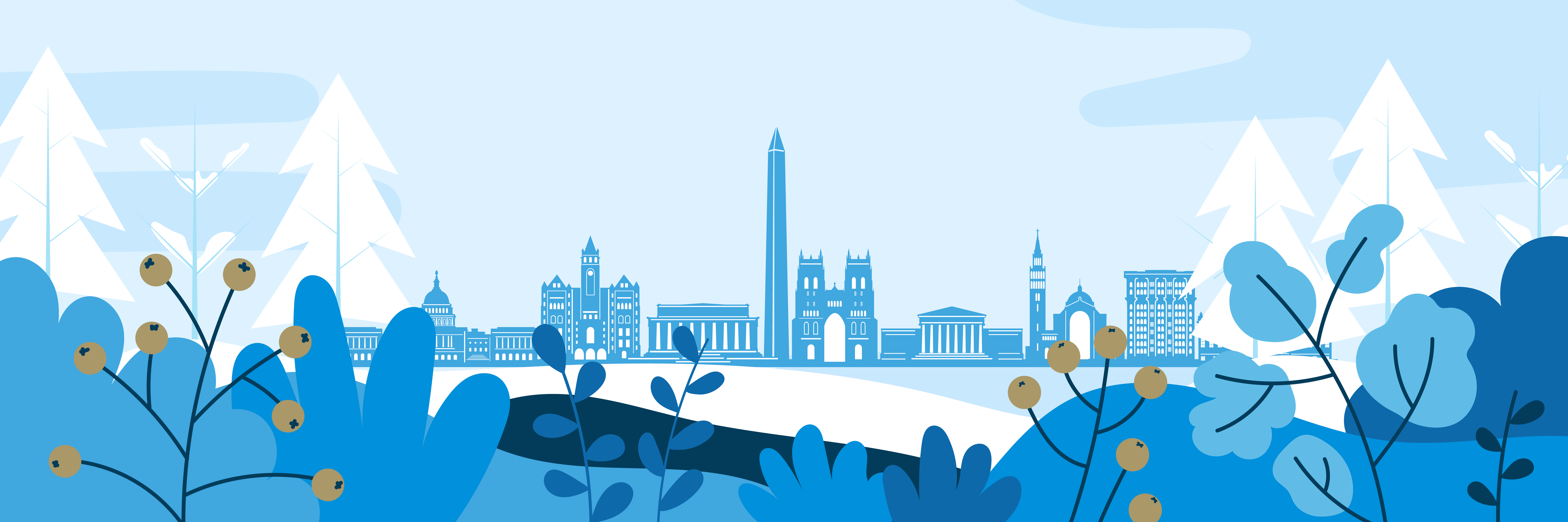 landscape of DC skyline in winter