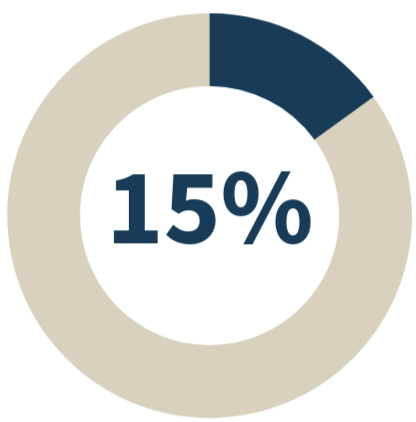 Pie graph displaying 15%
