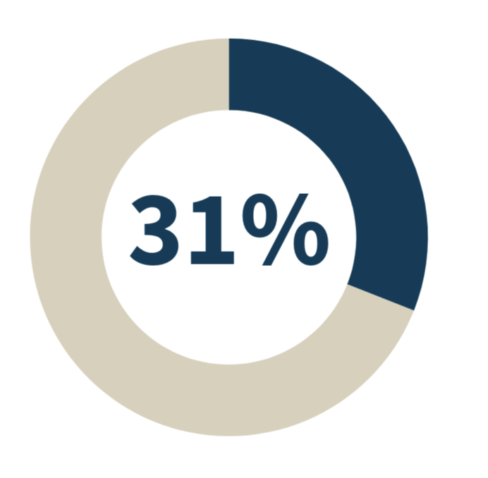 Pie graph displaying 31%