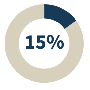 Pie graph displaying 15%