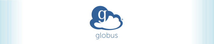 Globus banner