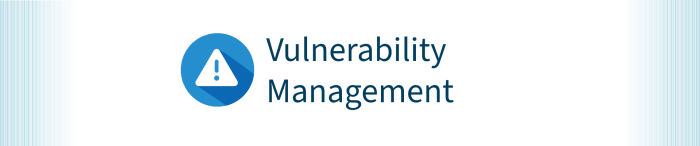 Vulnerability Management Banner